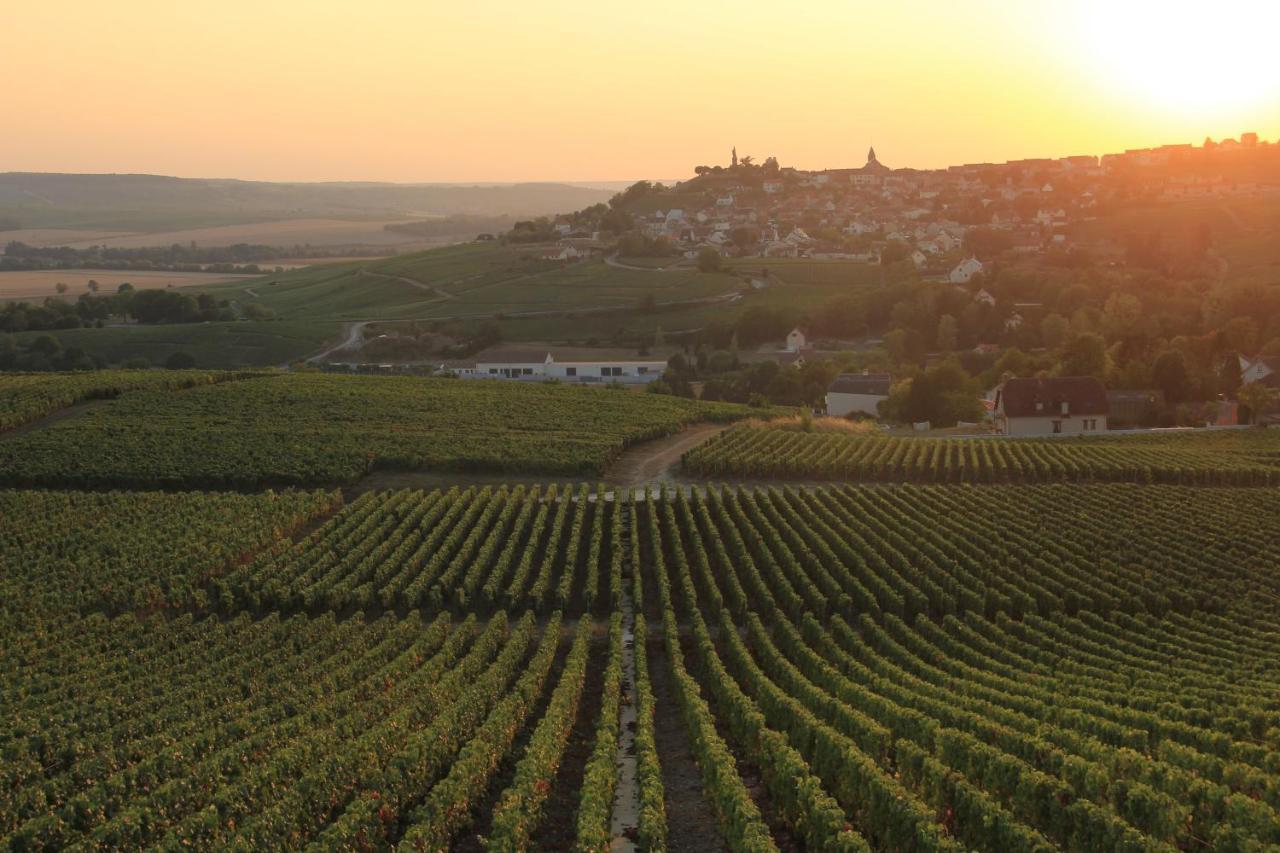 Lodge De La Vigneronne Chatillon-sur-Marne Екстер'єр фото