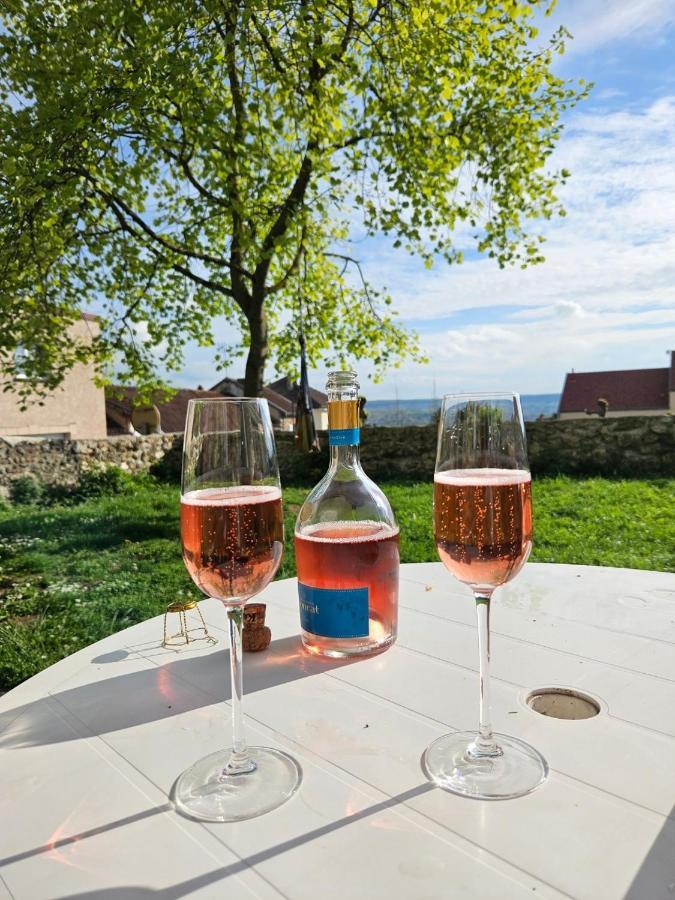 Lodge De La Vigneronne Chatillon-sur-Marne Екстер'єр фото